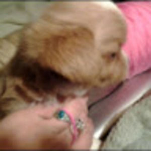 Meet your Posher, Bonne beth